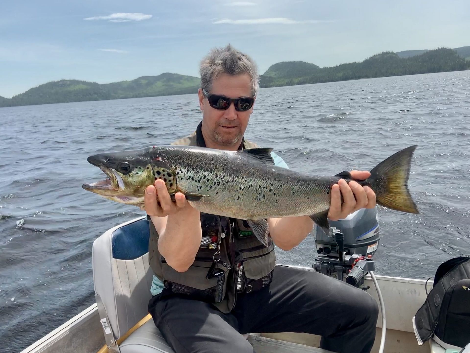 Pêche au saumon dans les rapides du Lac Holt