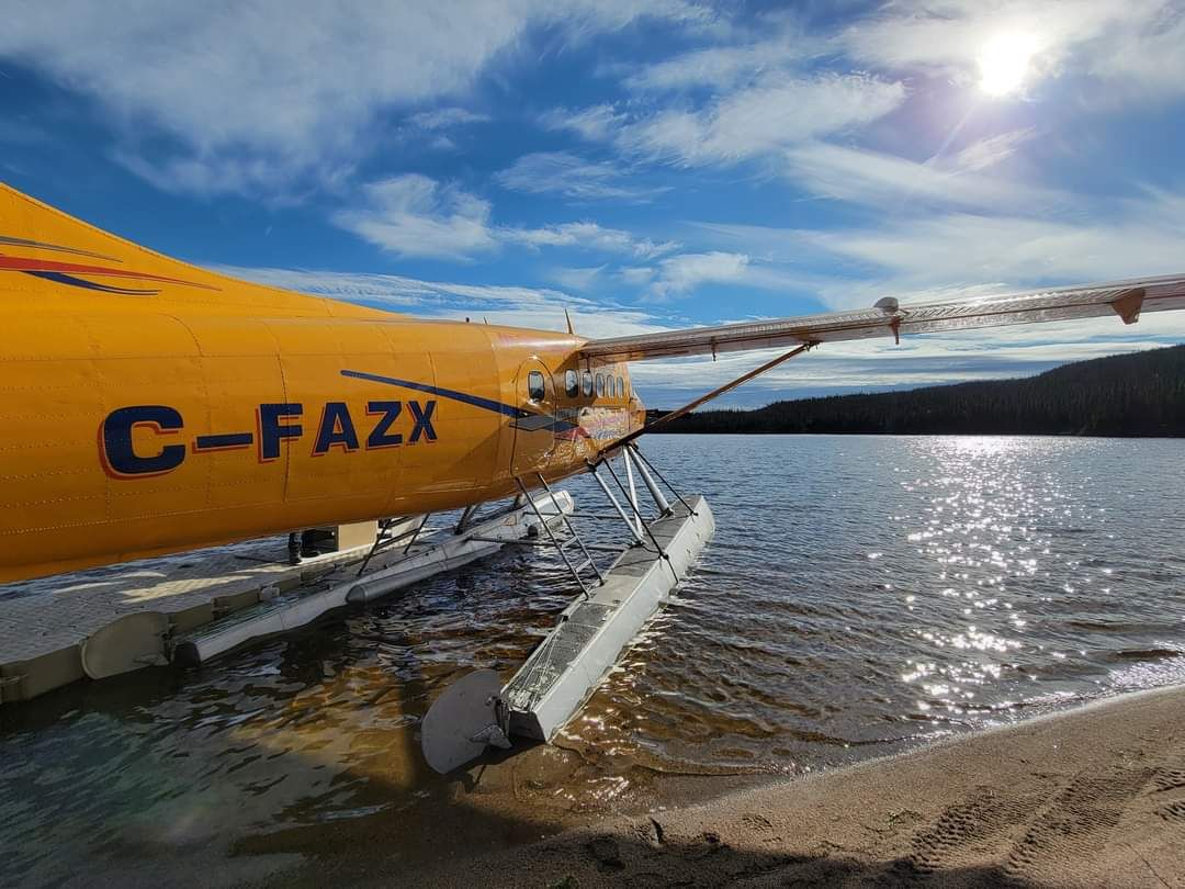 Hydravion jaune sur la berge d'un lac québécois